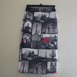 Blush skirt with Paris scenes size Small